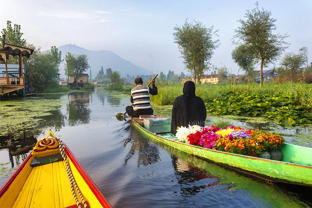 Kashmir